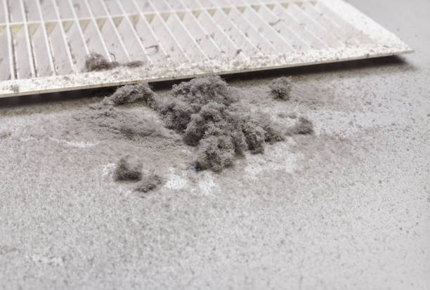 Best Ventilation Cleaning Services  in Carrollwood, FL