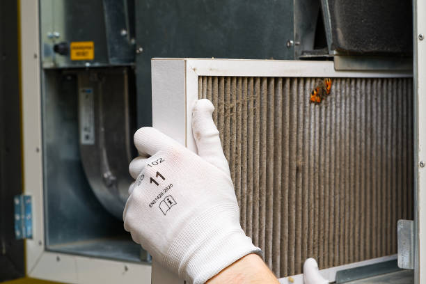 Best HVAC Duct Inspection Services  in Carrollwood, FL