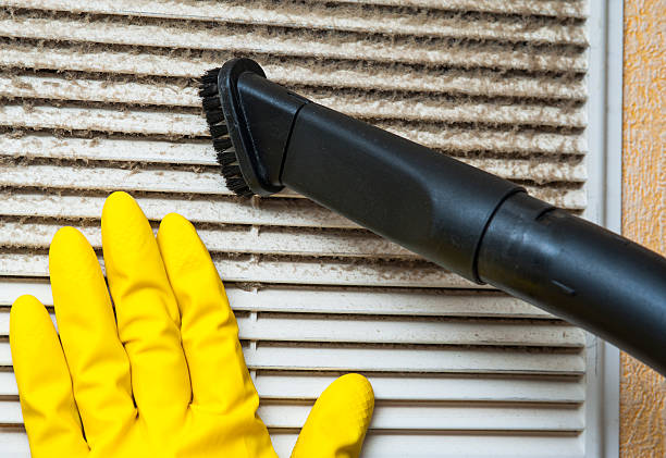 Best Dryer Vent Cleaning Services  in Carrollwood, FL