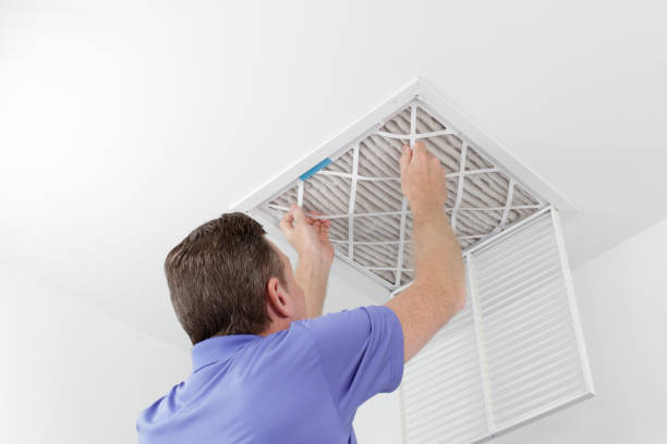 Best Air Duct Inspection  in Carrollwood, FL